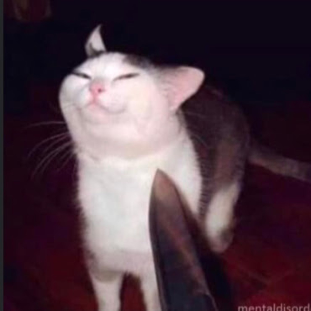 Meet your Posher, Milecy